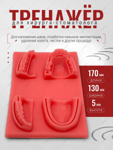 Стоматологический тренажёр, 170 × 130 × 5 мм