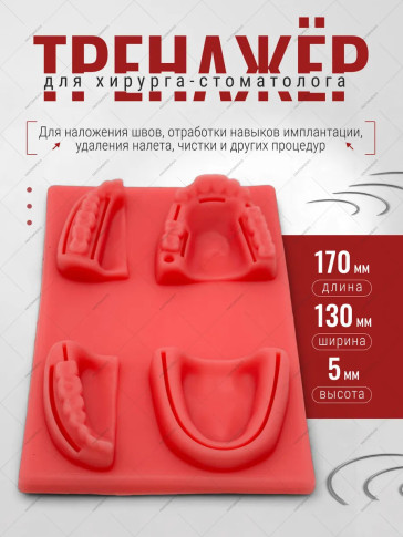 Стоматологический тренажёр, 170 × 130 × 5 мм